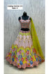 Carnival 2.0 — Style C, size 40; original full length of fully stitched lehenga with sleeveless blouse and coordinating dupatta.