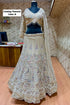 Flying Peacock - Exp 11, Color B, size 44 - original lehenga mannequin photo