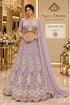 Saree Duniya Flying Peacock - Exp 11, Color D, size 44 - full-length model wearing embroidered peacock lehenga