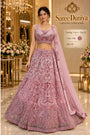 CATALOG: Curvv