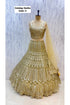 Catalog: Kanika - Exp 11. Color C, size 40. Original photograph of the fully stitched sequin-embellished lehenga, blouse and dupatta.