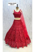 Catalog: Kanika - Exp 11. Color D, size 40. Original photograph of the fully stitched sequin-embellished lehenga, blouse and dupatta.