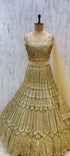 Kanika - Exp 11, Color C, size 40. Original supplied garment video showing the blouse, sequin work, skirt and dupatta.